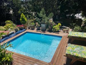 a swimming pool in a garden with potted plants at Apartment Downstairs Sedgefield in Sedgefield
