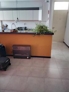 a kitchen with a counter with a plant in it at Maria Delicia in Godoy Cruz