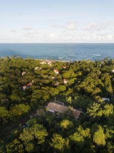 uma vista aérea de uma floresta com o oceano em Casa Canoa - Praia de Algodões em Maraú