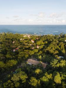an aerial view of a forest with the ocean at Casa Canoa - Praia de Algodões in Marau