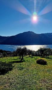 a view of a lake with the sun in the sky at Casa Melina 2 in Tremezzo