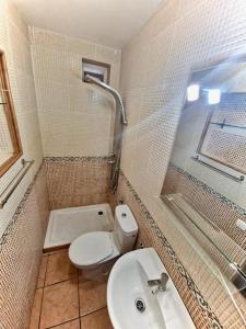 a bathroom with a toilet and a sink and a shower at Cozy Apartment With Garden in Puerto Rico de Gran Canaria