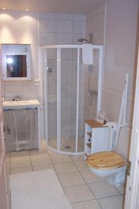 a bathroom with a shower and a toilet and a sink at Eyjar Fishing Lodge in Breiðdalsvík