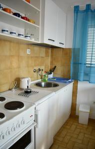 Kuchyňa alebo kuchynka v ubytovaní Apartment Ankica