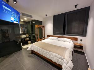um quarto com uma cama grande e uma televisão em Exclusivo Departamento de lujo con jacuzzi privado em Tulum