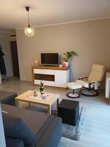 a living room with a couch and a tv at Apartament Blondynka Miasto Soli Bochnia in Bochnia