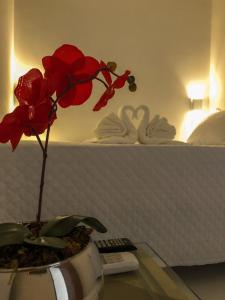 uma flor num vaso numa mesa num quarto de hotel em Caroá Piranhas Suítes em Piranhas