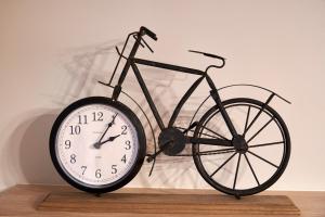 Jazda na bicykli v okolí ubytovania Apartament Wołodyjowskiego