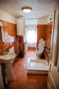 a bathroom with a toilet and a sink at Cabana Yvan in Gîrda de Sus