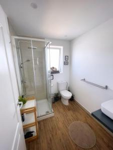 a bathroom with a toilet and a shower in it at Azur Arts Lanzarote Lofts in Tinajo +12 photos
