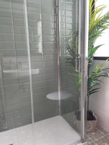 una ducha con una puerta de cristal junto a una planta en Apartamento turístico La Joya, en Huelva
