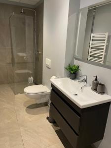 uma casa de banho com um lavatório, um WC e um chuveiro em Lovely apartment with hot tub access em Akureyri