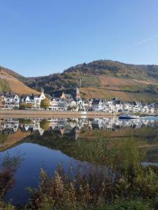 uma cidade numa colina ao lado de um corpo de água em Moselliebe Zell em Zell an der Mosel