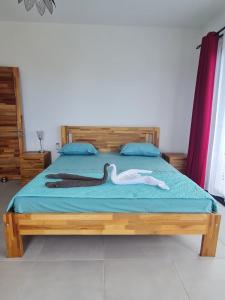 a bedroom with a bed with blue pillows at MoonLight in Pointe aux Piments
