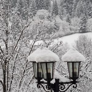 una luz de la calle cubierta de nieve junto a un lago en Au coeur du Volcantal en Laveissière