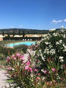a garden with flowers and a swimming pool at Country House Girasole Crete Senesi Vakantie Huis in Asciano