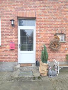 two cats sitting on a bench in front of a door at schöne geräumige ganze Wohnung als Unterkunft in Bergen