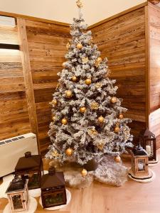 a christmas tree in the corner of a room at HOTEL LE FONTI in Lurisia