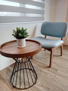 stół i krzesło z rośliną w obiekcie Ocean Guest House w mieście Magong