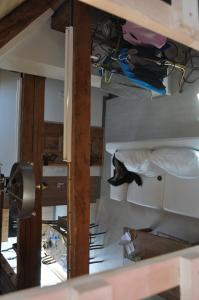Fotografija v galeriji nastanitve Attika Wohnung 7546 Ardez v mestu Ardez