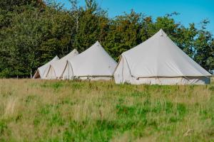 a group of white tents in a field at Nine Yards Bell Tents @ The Open in West Kirby