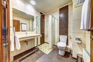 a bathroom with a toilet and a sink and a shower at Апартаменти Свети Трифон in Pamporovo