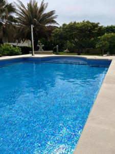 une grande piscine bleue avec des palmiers en arrière-plan dans l'établissement Apartments Villa Jadranka Adults only, à Bol