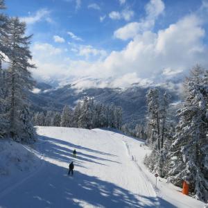 Alpin Art & Spa Hotel Naudererhof Superior v zimě