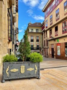 un pot avec un arbre au milieu d'une rue dans l'établissement SOL, à Oviedo