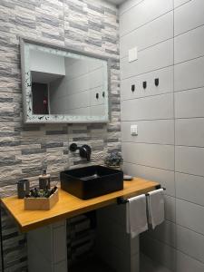 La salle de bains est pourvue d'un lavabo et d'un miroir. dans l'établissement Felicia`s House, à Agria