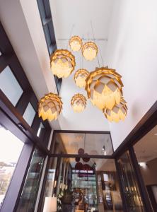 Fotografie z fotogalerie ubytování Hotel Libertas elements pure ve Freiburgu