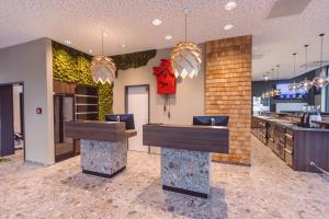 Fotografie z fotogalerie ubytování Hotel Libertas elements pure ve Freiburgu