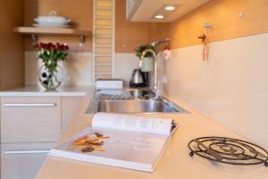 a book sitting on a kitchen counter with a sink at Foscolo 25 Apartment in Pisa +48 photos