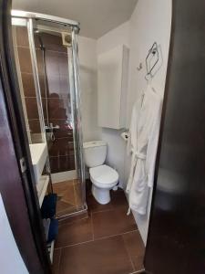 a small bathroom with a toilet and a shower at Barcelona Badalona Playa Terraza in Badalona