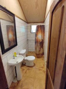 ein Bad mit einem WC und einem Waschbecken in der Unterkunft Habitación Establo de Caballos in Curarrehue
