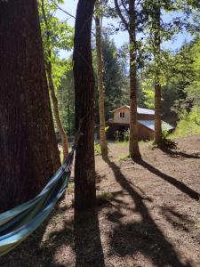 eine Hängematte zwischen zwei Bäumen vor einer Hütte in der Unterkunft Habitación Establo de Caballos in Curarrehue