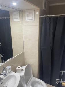 a bathroom with a toilet and a sink and a shower at Hermoso Depto Centrico in Rancagua