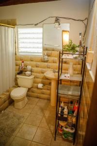 bagno con servizi igienici, lavandino e specchio di John & Marina’s Place a Salinas