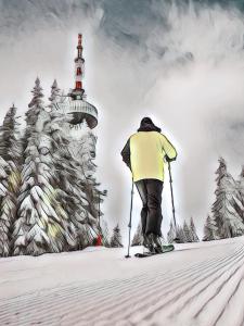 eine Person auf Skiern im Schnee in der Nähe eines Leuchtturms in der Unterkunft Top of the Mountain Гранд Манастира частни Апартаменти in Pamporowo