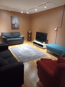 a living room with a couch and a tv at FeelHome apartment In Tromsdalen in Tromsø