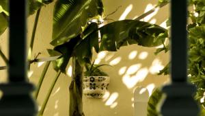 Fotografie z fotogalerie ubytování Hostal Campo Nuevo v destinaci Sanlúcar de Barrameda