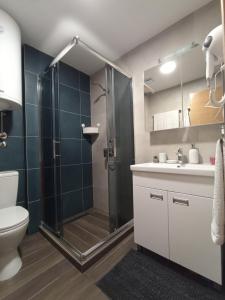 a bathroom with a shower and a toilet and a sink at Apartman MonTanja Kopaonik, u hotelu Kraljevi Čardaci in Kopaonik