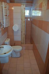 a bathroom with a sink and a toilet and a shower at Ośrodek Wypoczynkowy Pod Skałką in Szczytna