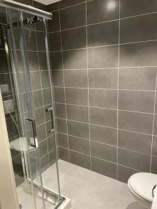 a bathroom with a glass shower with a toilet at « Le Val d AuRS »Calme et élégance in Strasbourg