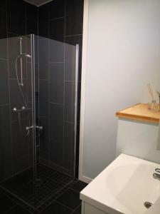 y baño con ducha y lavamanos. en Gjestehus i Sogndal en Sogndal