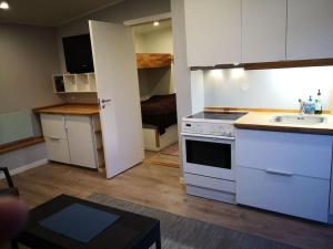 a small kitchen with a sink and a stove at Gjestehus i Sogndal in Sogndal