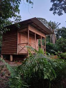 a small wooden house in the middle of a garden at World's View Wild Camping Salaszoi, Principe Island in Santo António