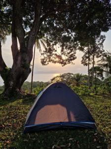 una tienda sentada en el césped bajo un árbol en World's View Wild Camping Salaszoi, Principe Island en Santo António