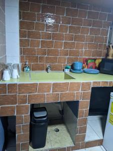 a brick kitchen with a sink and a trash can at Apartments Pura Vida in Alajuela City