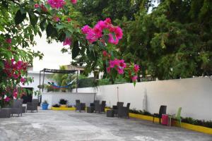 eine Gruppe von Stühlen und rosa Blumen, die von einem Baum hängen in der Unterkunft Hostal Casa Bohemia in Mérida